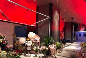 咖啡酒方案销售技巧（咖啡香氛与酒韵融合：创新销售战略探索）